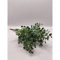 Eucalyptusz csokor 7 ágú hamvas zöld