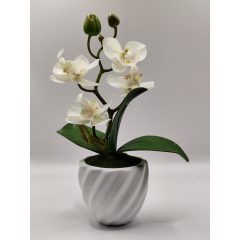 Orchidea kaspós fehér