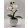 Orchidea kaspós fehér