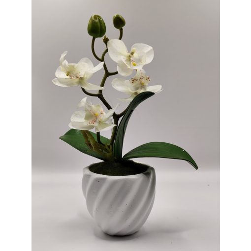Orchidea kaspós fehér