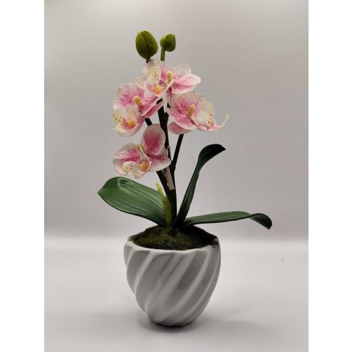 Orchidea kaspós világos rózsaszín