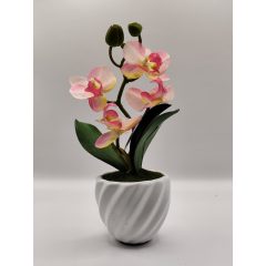 Orchidea kaspós cirmos rózsaszín