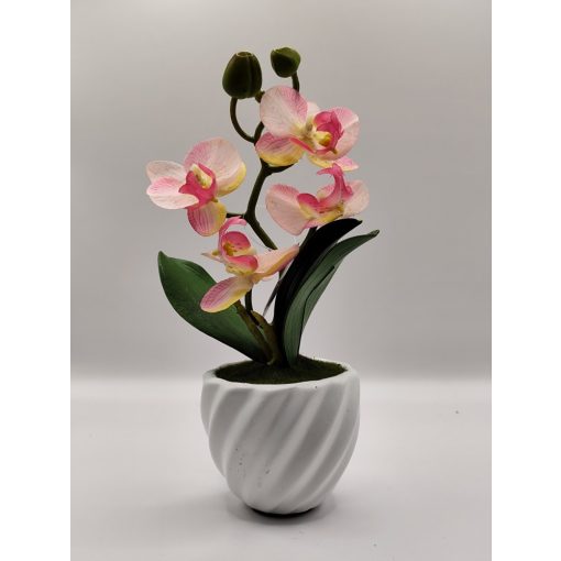 Orchidea kaspós cirmos rózsaszín