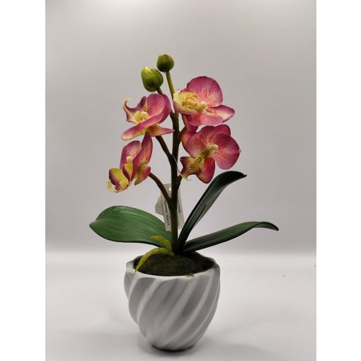 Orchidea kaspós sötét rózsaszín