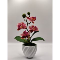 Orchidea kaspós bordó pöttyös