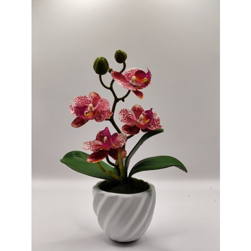 Orchidea kaspós bordó pöttyös