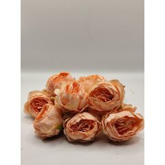 Peonia fej 5,5 cm Barack ( 12 darabos)