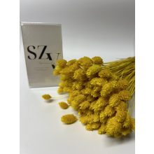 Fénymag Sárga