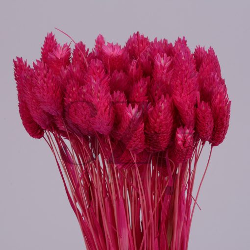 Fénymag Pink