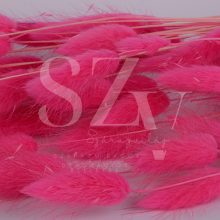 Lagurus Pink