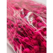 Len Pink