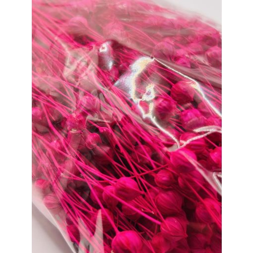 Len Pink