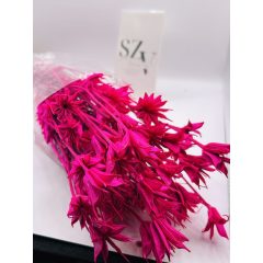 Nigella Pink