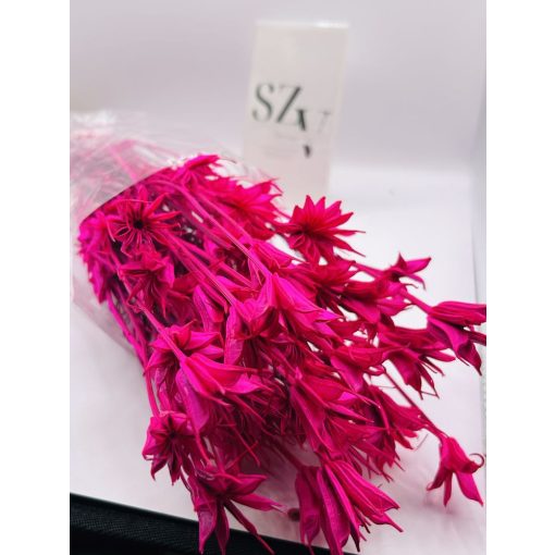 Nigella Pink