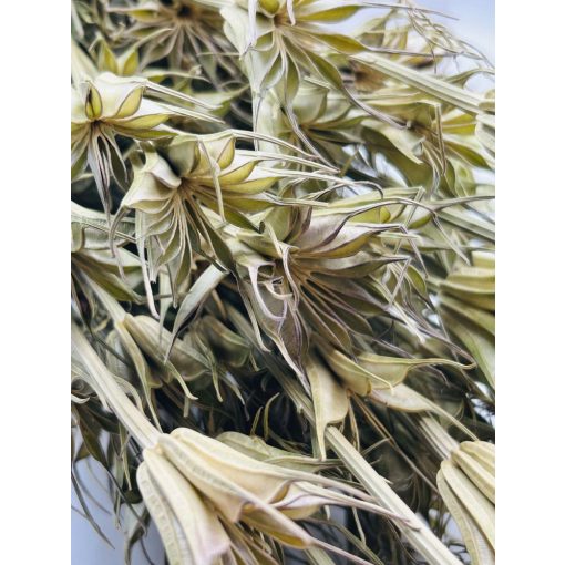 Nigella Natúr