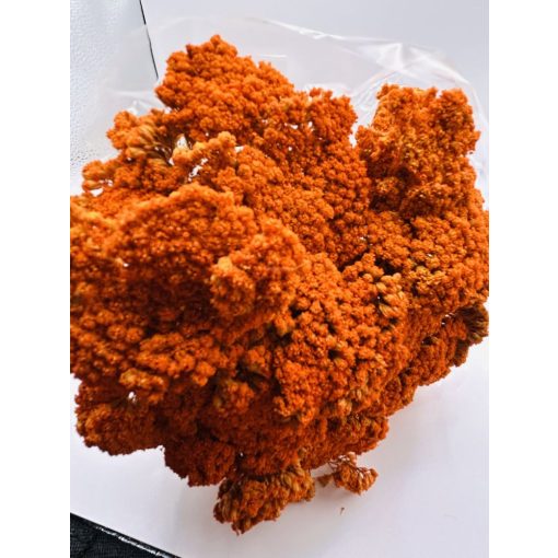 Achillea Narancs