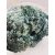 Achillea Falfestékes Kék