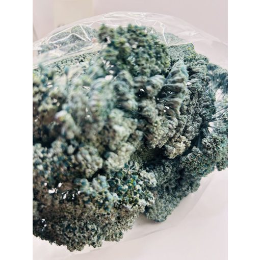 Achillea Falfestékes Kék