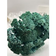 Achillea Falfestékes Türkiz