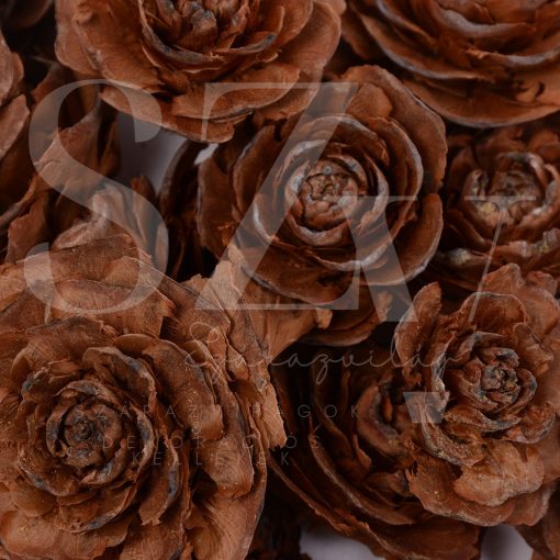 Cédrus rózsa Natúr