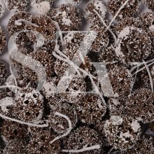 Ámbrafa termés Havas