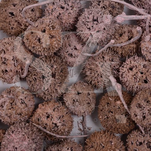 Ámbrafa termés Falfestékes Rózsaszin