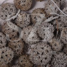 Ámbrafa termés Falfestékes Vízkék