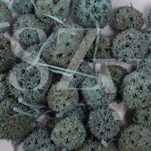 Ámbrafa termés Falfestékes Türkiz