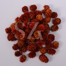 Salignum Narancs