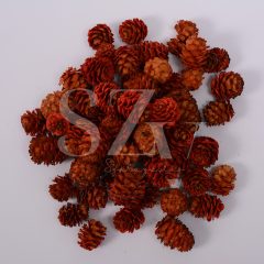 Salignum Narancs