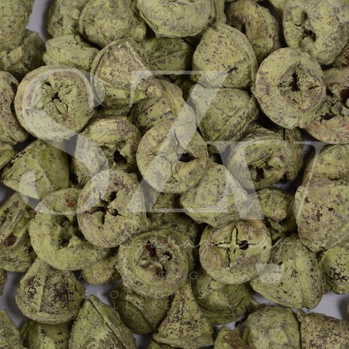 Eucalyptusz gomb Falfestékes Világos zöld