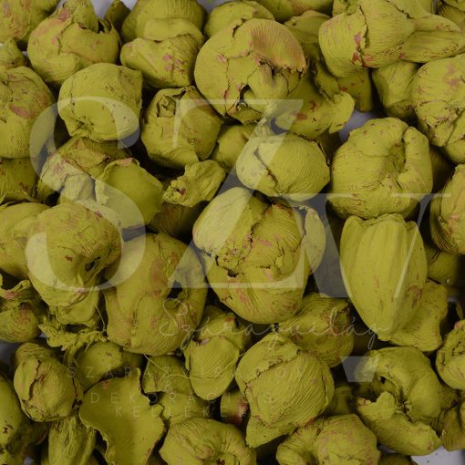 Kókusz Bimbó Falfestékes Oliva