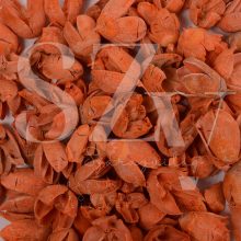 Bakuli Narancs