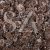 Casuarina Havas