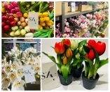 Tavaszi Selyemvirágok